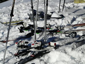 开云体育充值-滑雪运动装备检测标准逐步完善，滑雪装备示意图